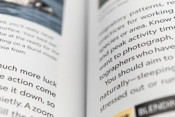 Jasa Translate Inggris Indonesia